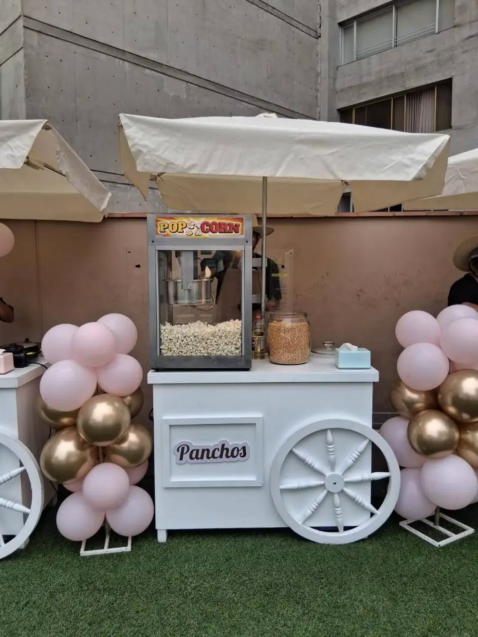 Carrito de Panchos (Hot Dogs) para fiestas infantiles en Lima